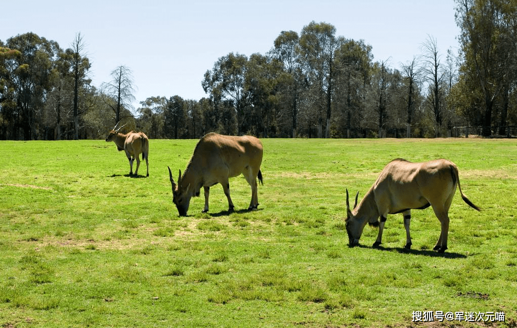 “星空综合”
80船煤炭被挡在国门外 澳大利亚经济陷入隆冬(图7)