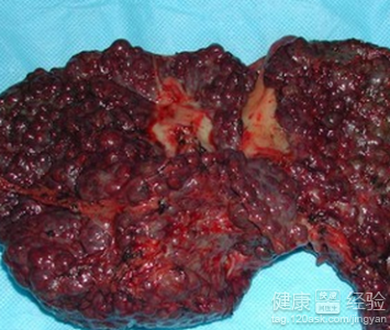 星空·综合体育