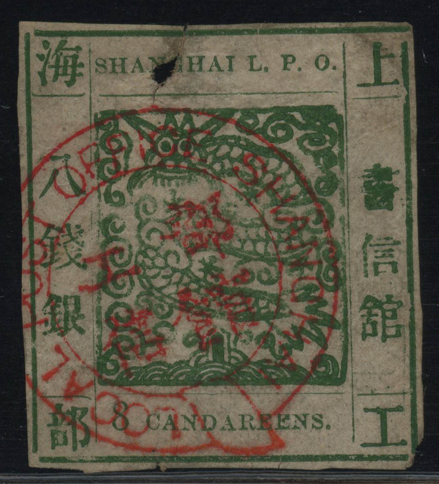 【星空综合】震后三个月“猪坚强”长到300斤左右