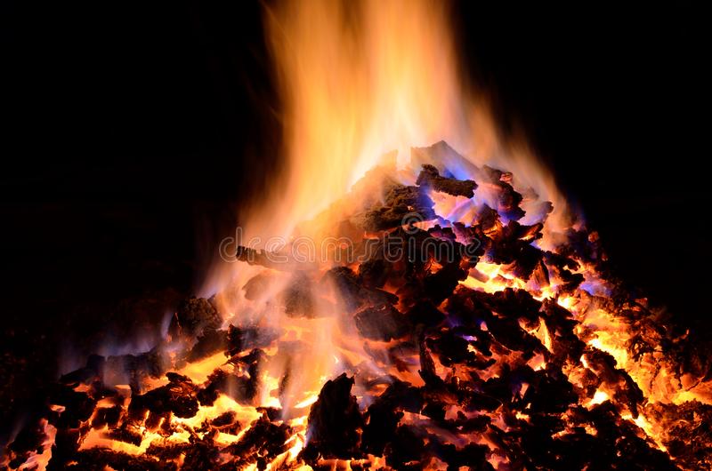 上海首个国家级海洋公园“鹦鹉洲”落户金山_星空综合(图2) 星空综合