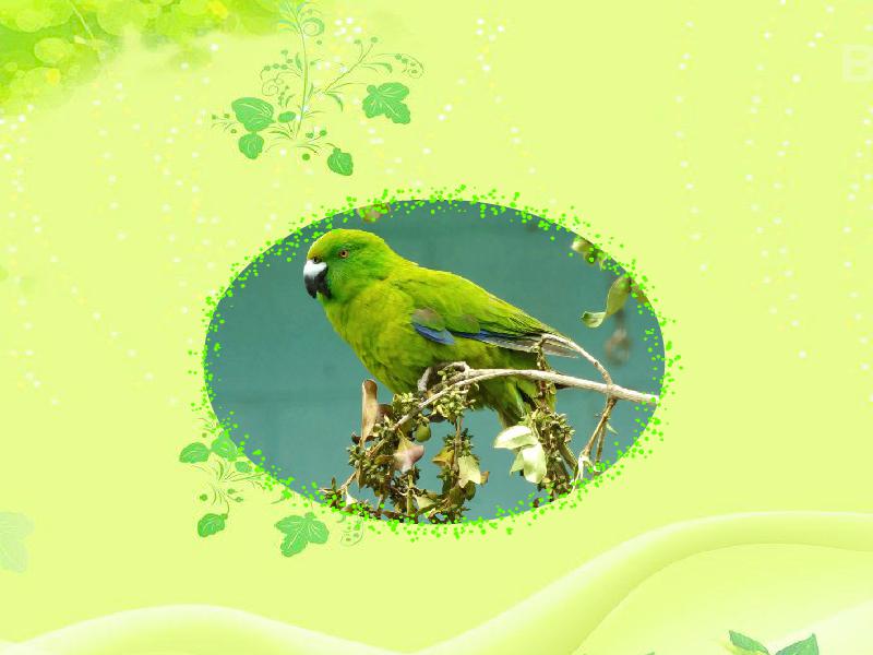 吐鲁番四大体系做强畜牧文章【星空·综合体育】