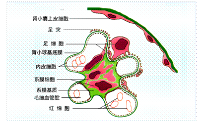 星空综合
