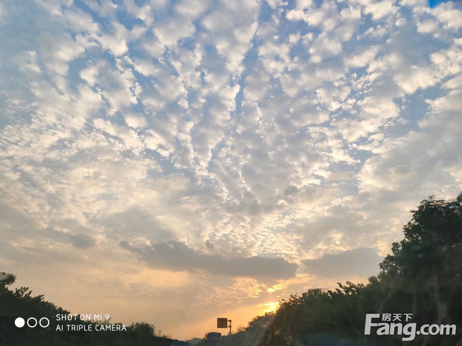 删好友前要不要告诉对方?_星空综合(图3) 星空·综合体育